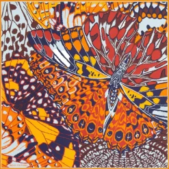 Tuch Papillons