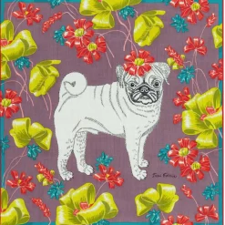 Tuch Toutou